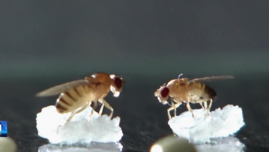 626969正版特馬鳳凰網(wǎng),胡塞武裝打擊以色列與美軍航母,整體規(guī)劃執(zhí)行講解_靜態(tài)版V4.66