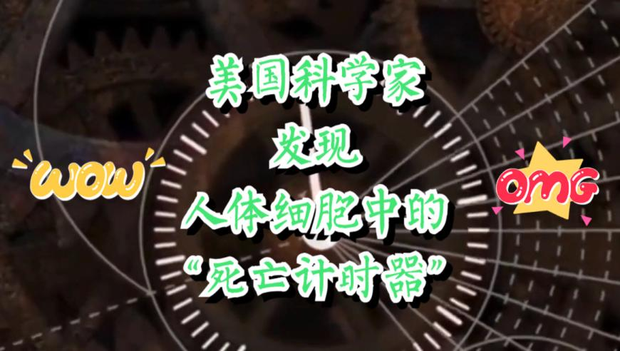 澳門開獎(jiǎng)資料網(wǎng)123720,男子在列車進(jìn)站時(shí)跳下站臺(tái)身亡_網(wǎng)紅版V11.4