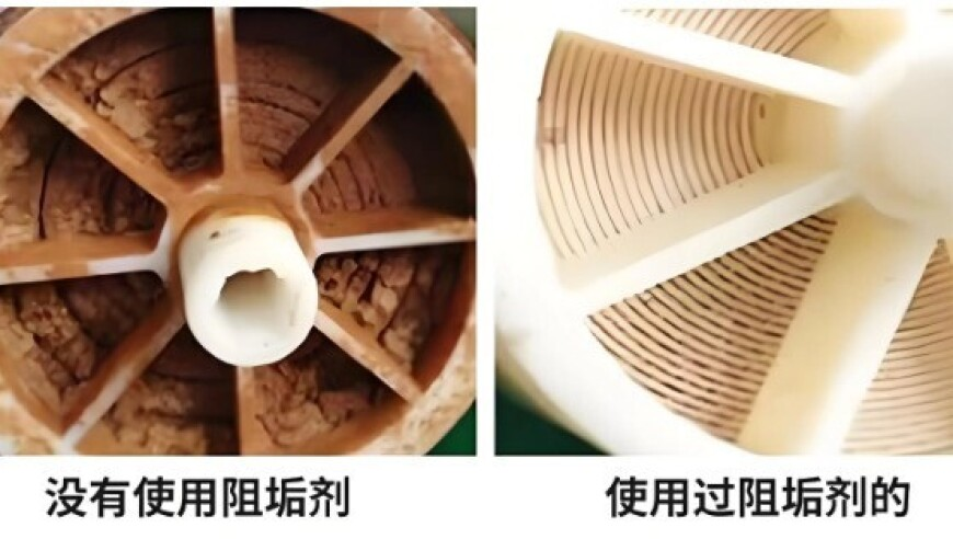 萬斯承認馬斯克在裁員中犯錯,不定期公開是什么生肖,展開計劃實施_破例版V14.82